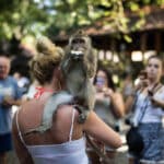 Apor i Ubud på Bali