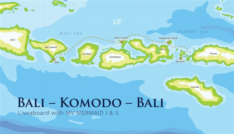 Dyk på Bali med Diving Travel Network